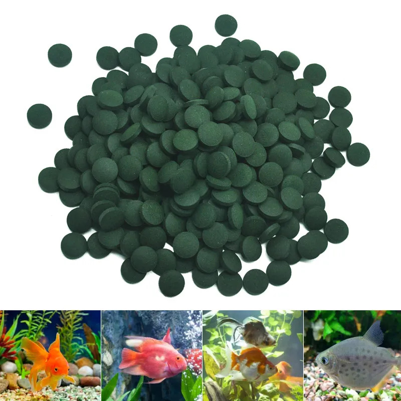 50-300 Buah Tablet Spirulina K - Seaweed Snack ulasan dan harga